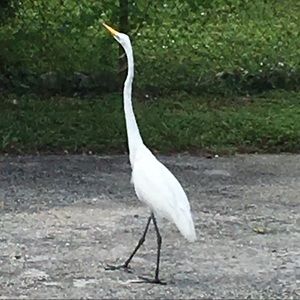 Meet your Posher, Steven